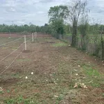 Bán đất nền 5x26m Tân Hưng Eakao 1,09 tỷ - Ảnh thu nhỏ 2