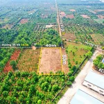 Bán 3,2 sào đất trống phường Tân An, hẻm cấp 1 vành đai QL14 và QL26, giá 4 tỷ - Ảnh thu nhỏ 5