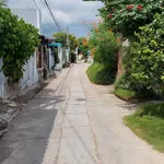 Bán nhà cấp 4 mới 99m2 2 phòng ngủ Phan Thiết - Ảnh thu nhỏ 3