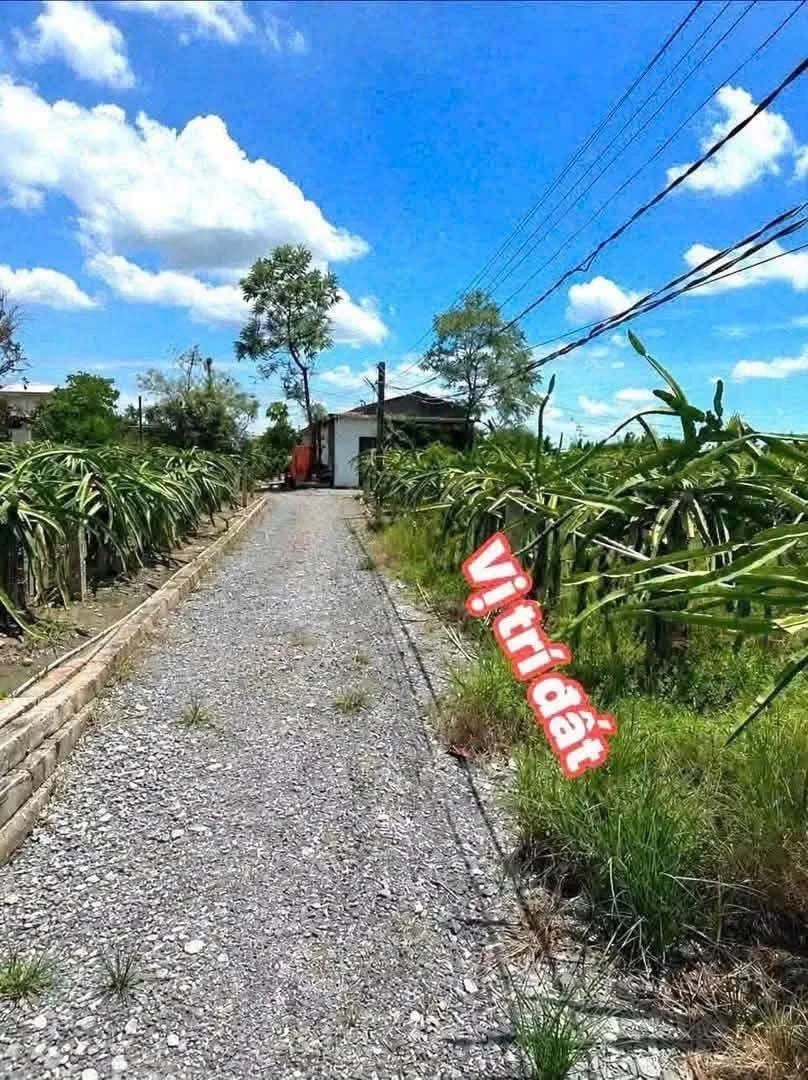 Bán đất lúa 1.166m² giá 750 triệu tại Phước Tân Hưng, Châu Thành, Long An - Ảnh thu nhỏ 2