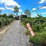 Bán đất lúa 1.166m² giá 750 triệu tại Phước Tân Hưng, Châu Thành, Long An - Ảnh thu nhỏ 2