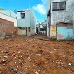 Bán đất nộI bộ 186m² Hoàng Văn Thụ, Quy Nhơn, Gia Lai - Ảnh thu nhỏ 3