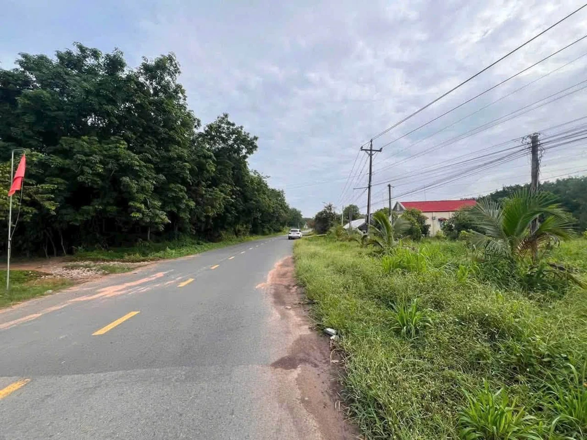 Bán đất 50.000m2 mặt tiền 40m Bình Dương - Ảnh 1