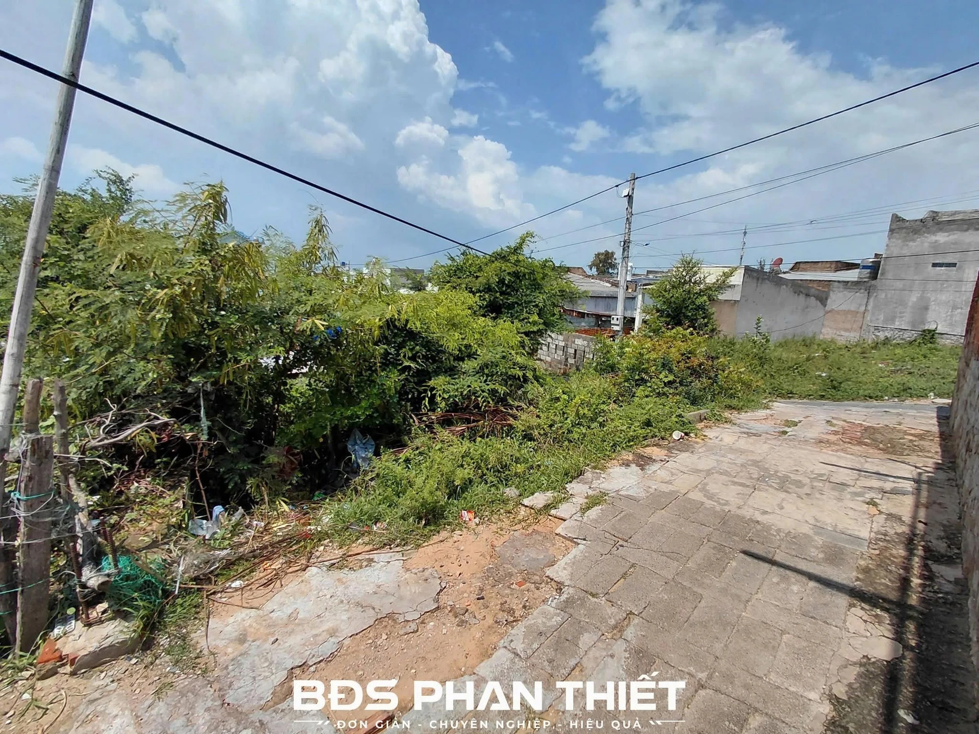 Bán đất Mũi Né 214.6m² mặt tiền, 2.5 tỷ - Ảnh 1