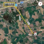 Bán đất nền 100m² sổ sẵn Đồng Phú Bình Dương - Ảnh thu nhỏ 1