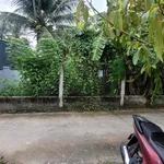 Bán đất 513m Bình Phú, Bến Tre, 950 triệu - Ảnh thu nhỏ 2