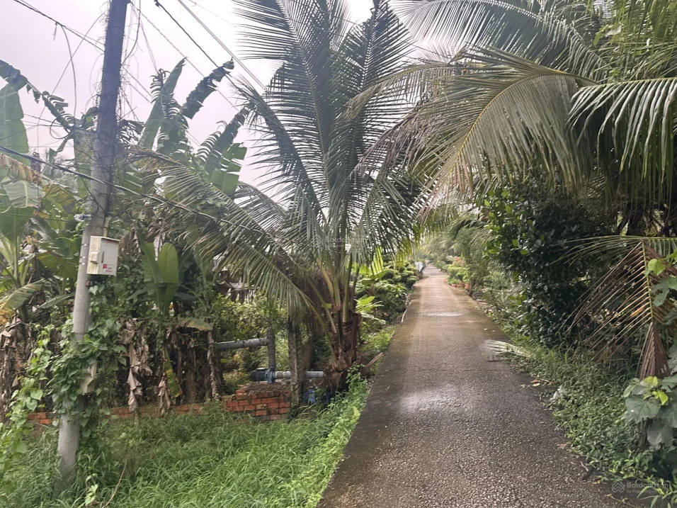Bán đất xây nhà rộng rãi 1.253,4m xã Cái Nhum, Vĩnh Long giá chỉ 1 tỷ 6 - Ảnh thu nhỏ 2