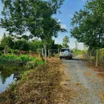 Bán đất vườn măng cụt Cần Giờ 5.888m2 giá 14,7 tỷ - Ảnh thu nhỏ 3
