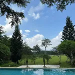 Chủ villa cực đẹp thực sự cần bán gấp 4300m2 Cư Yên Lương Sơn các bác đàm phán thoải mái - Ảnh thu nhỏ 32