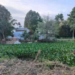 Bán đất nền mặt tiền đường Trần Nguyên Hãn, phường Vĩnh Lợi, Rạch Giá, 300m2, 700 triệu/nền - Ảnh thu nhỏ 5
