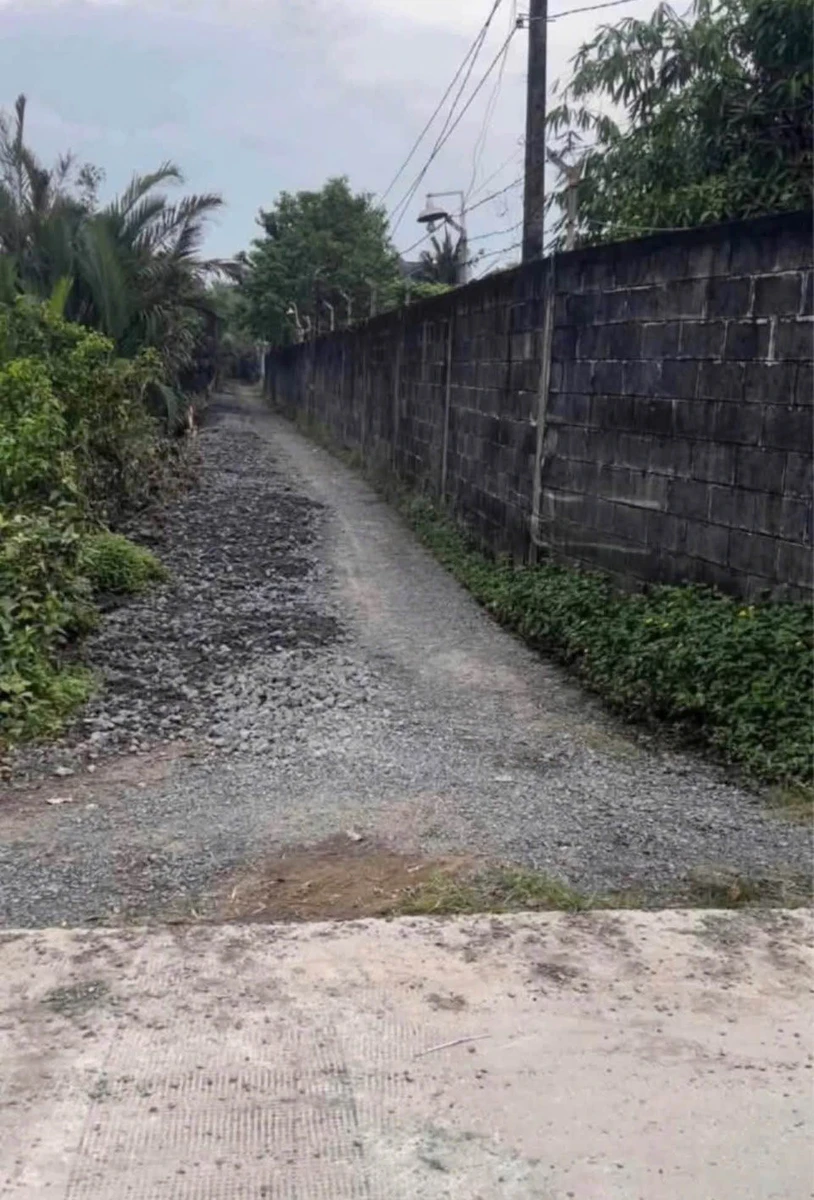Bán 700m2 đất (350m2 thổ cư) Long An, gần chợ Tân Bữu - Ảnh 1