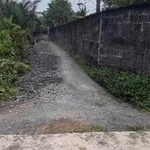 Bán 700m2 đất (350m2 thổ cư) Long An, gần chợ Tân Bữu - Ảnh thu nhỏ 1