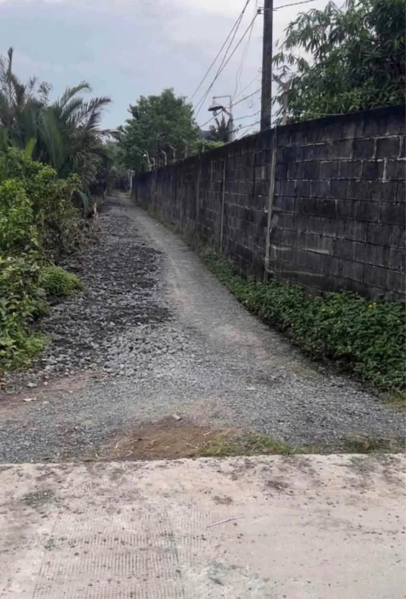 Bán 700m2 đất (350m2 thổ cư) Long An, gần chợ Tân Bữu - Ảnh 1