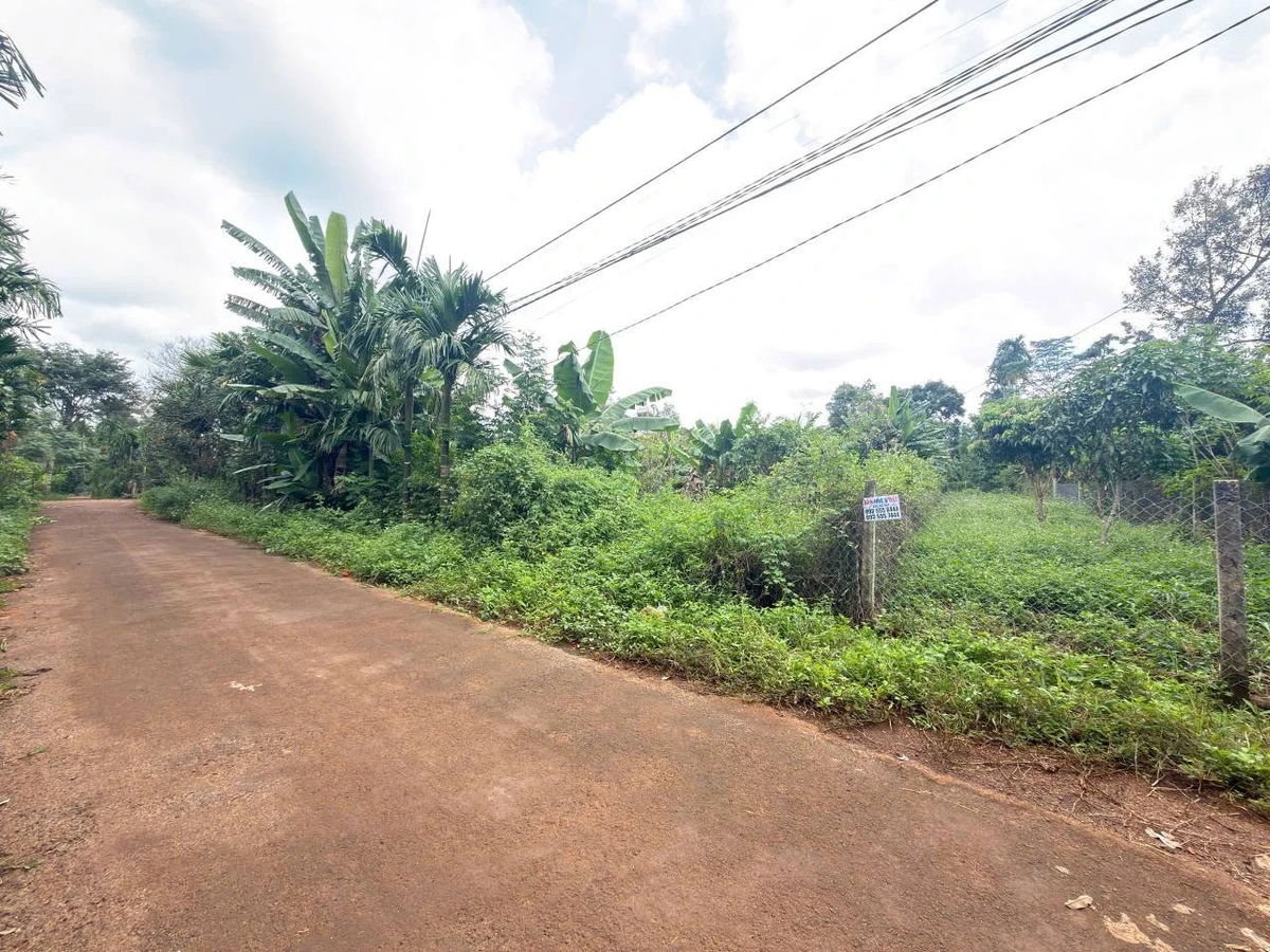 Bán đất 5x50m hẻm cấp 1 Nguyễn Xuân Nguyên, Phường Tân An, giá 1,95 tỷ - Ảnh 1