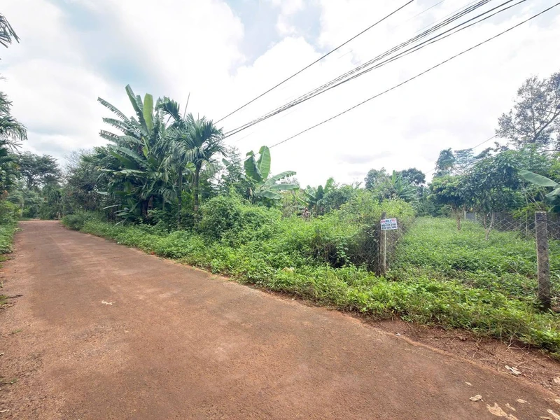 Bán đất 5x50m hẻm cấp 1 Nguyễn Xuân Nguyên, Phường Tân An, giá 1,95 tỷ
