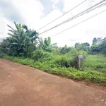 Bán đất 5x50m hẻm cấp 1 Nguyễn Xuân Nguyên, Phường Tân An, giá 1,95 tỷ - Ảnh thu nhỏ 1