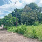 Bán khoảng 9 sào 7 (9745m2) đất phường Tân Thành, Tp. HCM). Giá 13 tỷ - Ảnh thu nhỏ 13
