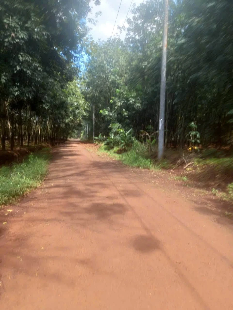 Bán 2,2 hectare đất cao su Thuận Phú - Ảnh 1