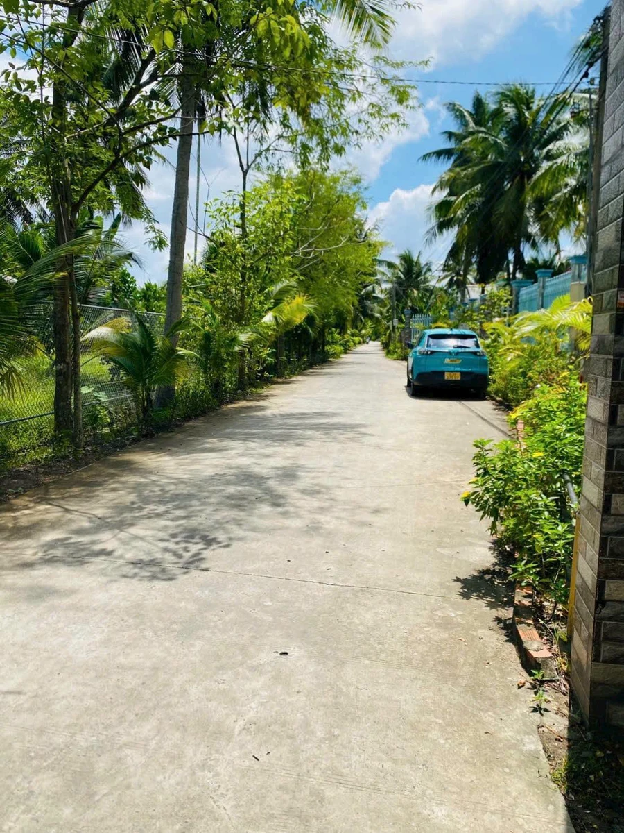 Bán đất vườn 1.500m² view sông Ba Lai Phú Túc 1,2 tỷ - Ảnh thu nhỏ 3
