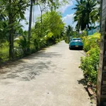 Bán đất vườn 1.500m² view sông Ba Lai Phú Túc 1,2 tỷ - Ảnh thu nhỏ 3