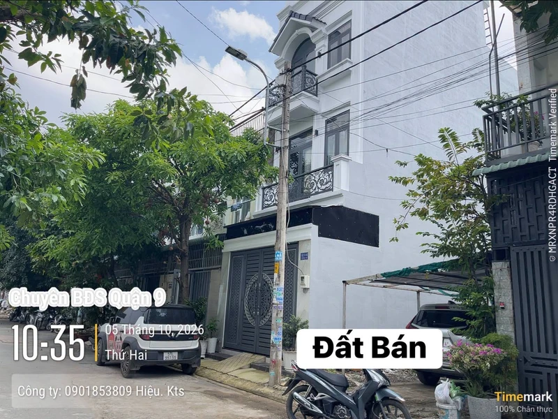 Bán đất lúa 955m² Châu Thành Long An 350 triệu 5950m2
