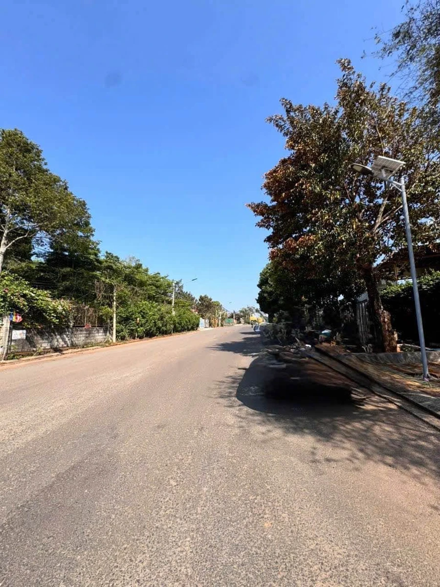 Bán đất hẻm Nguyễn Hữu Thấu nối dài 10x29.5m, 295m2, Phường Tân Lợi, Buôn Ma Thuột - Ảnh thu nhỏ 2