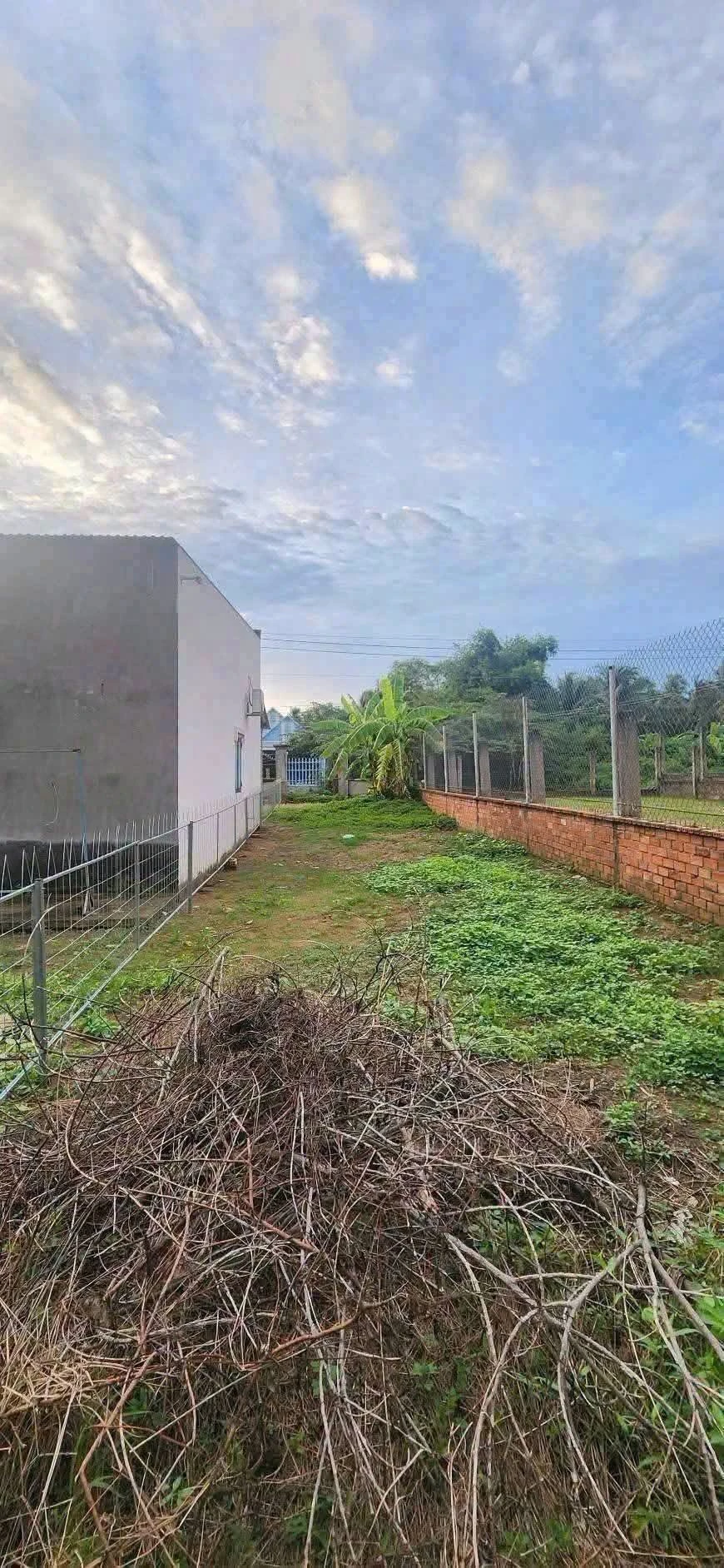 Bán nền mặt tiền 151m² An Hội Cần Giờ 925 triệu - Ảnh 1