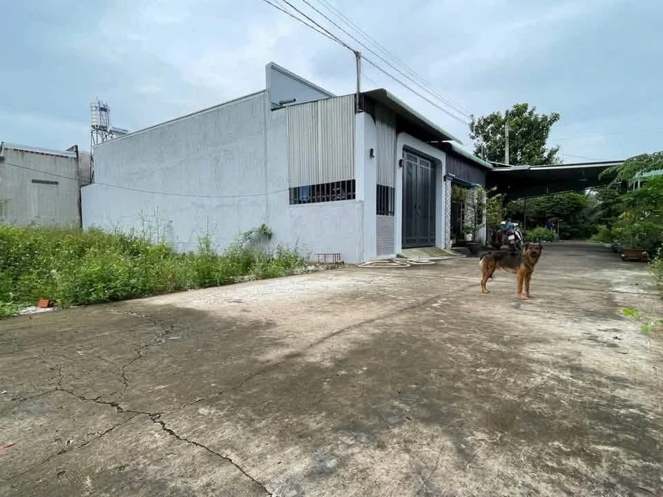 Bán đất 100m² tại An Viễn, Đồng Nai, 1 tỷ - Ảnh thu nhỏ 2