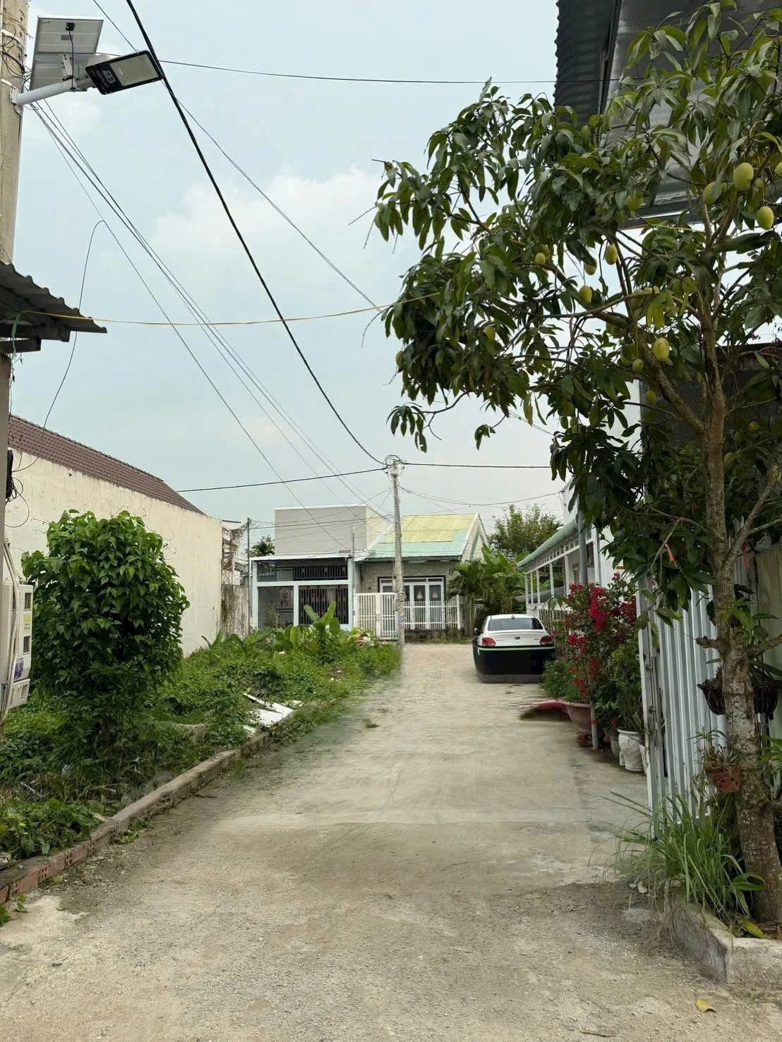 Bán nhà hẻm Sư Vạn Hạnh 50m², 2PN, 1.5 tỷ, Bình Tân - Ảnh 1