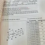 Bán 3 lô đất kiệt ô tô K261 Tôn Đản, Cẩm Lệ, Đà Nẵng, giá khoảng 2 tỷ - Ảnh thu nhỏ 4