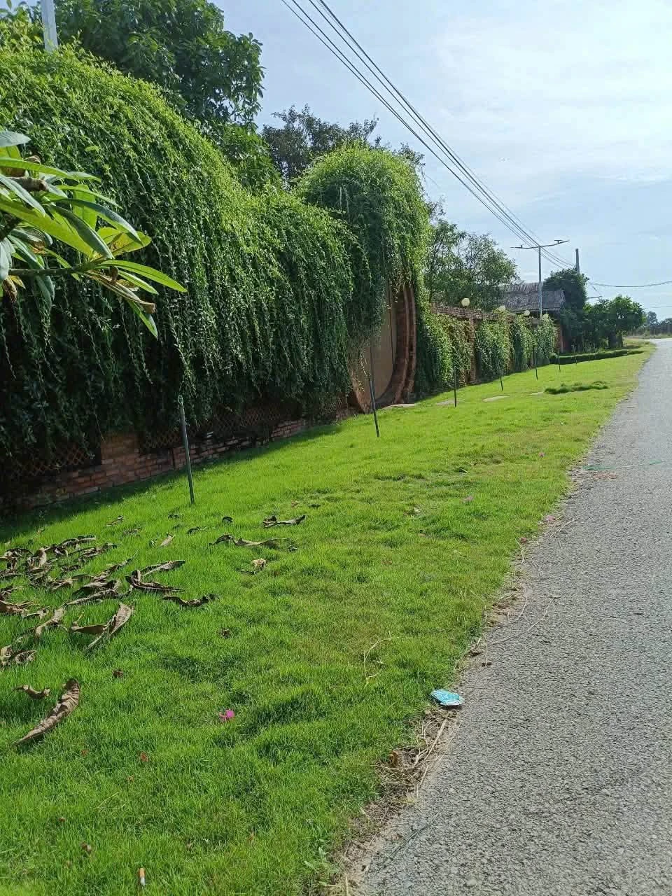 Bán lô đất 630m2 Xuyên Mộc Vũng Tàu 1 tỉ 999 triệu - Ảnh 1
