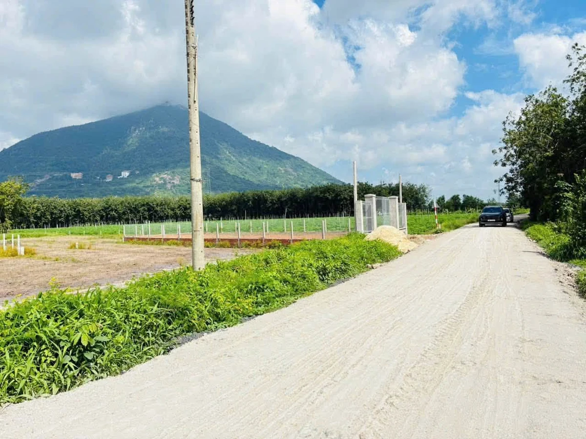 Bán 2 nền đất liền kề 5x29m Xã Phan Dương Minh Châu 320 triệu - Ảnh thu nhỏ 3