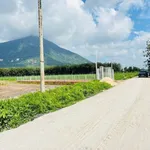 Bán 2 nền đất liền kề 5x29m Xã Phan Dương Minh Châu 320 triệu - Ảnh thu nhỏ 3