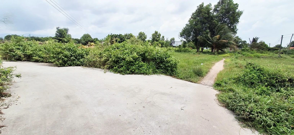 Bán đất cây trồng 900m² 2 mặt tiền Hàm Liêm - Ảnh 1