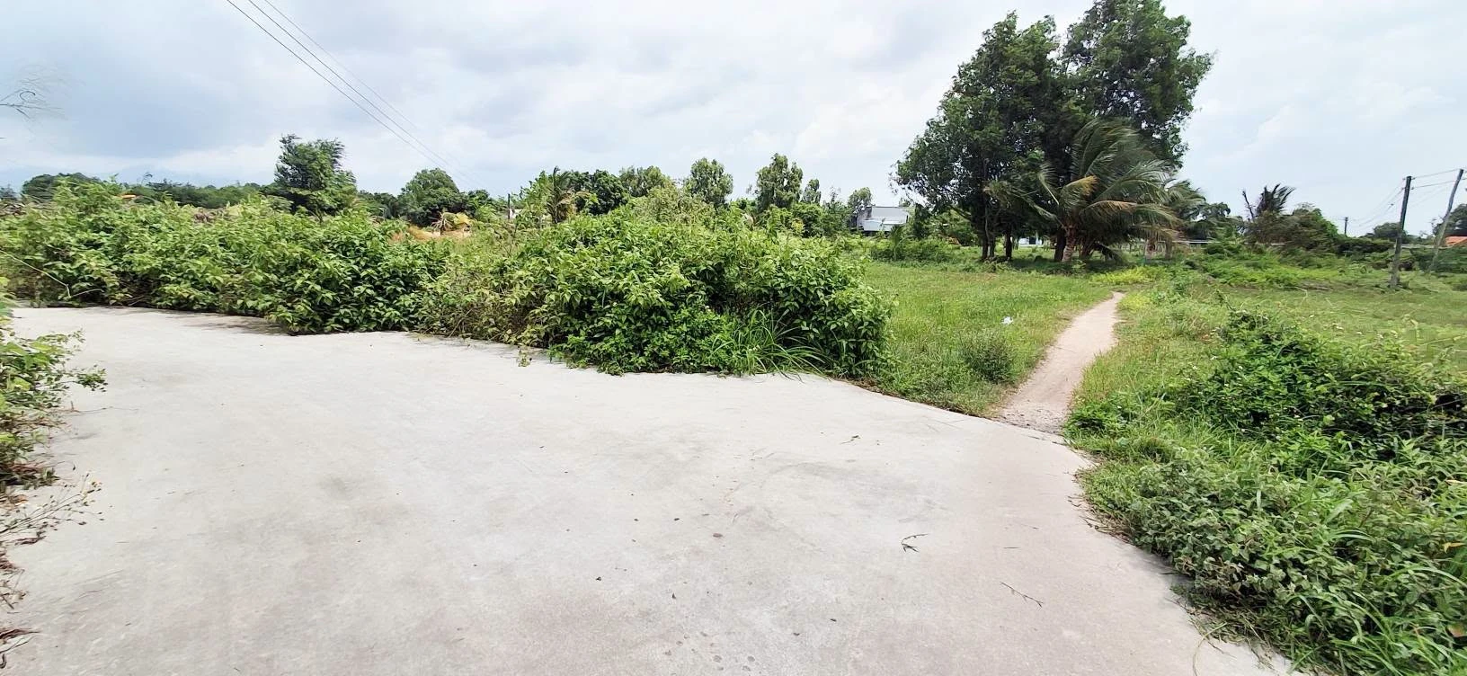 Bán đất cây trồng 900m² 2 mặt tiền Hàm Liêm - Ảnh 1