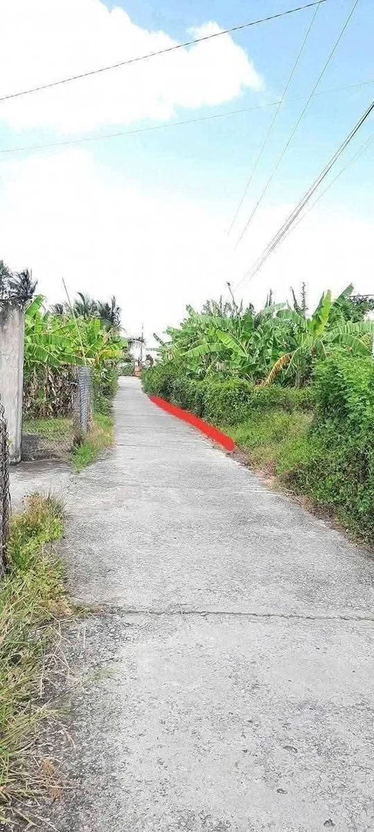 Bán lô đất thổ cư 140m² Long An, gần Bình An - Ảnh thu nhỏ 2