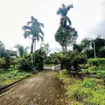 Bán đất Châu Đức 13.000m2 (200m thổ cư) 22 tỷ - Ảnh thu nhỏ 3