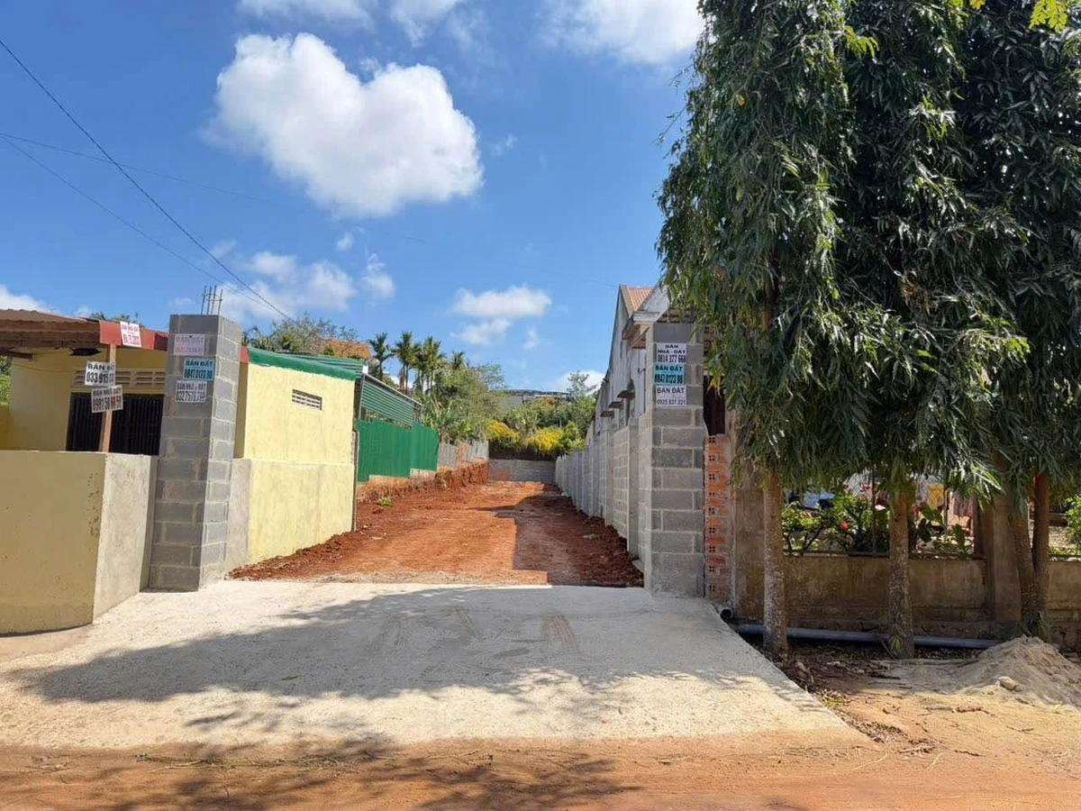 Bán đất 390m2 có thổ cư hẻm Mai Thị Lựu Quận 12 - Ảnh thu nhỏ 3