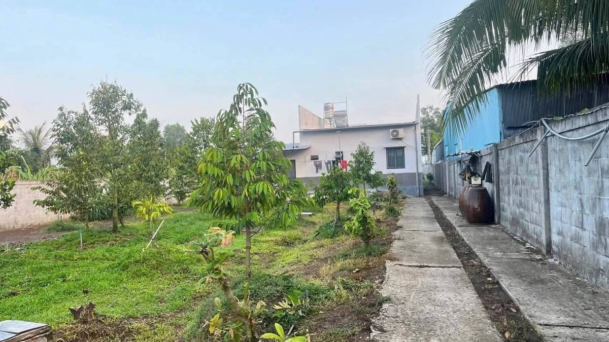 Bán nhà vườn 1.830 m² mặt tiền Đường Huyện 16, Thới Lai, Cần Thơ - Ảnh thu nhỏ 2