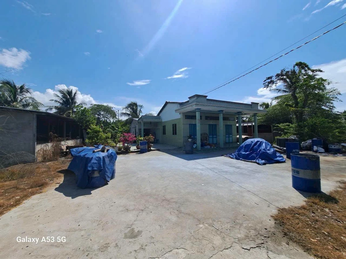 Bán nhà vườn 4700m2 full thổ cư, 3 mặt tiền tại Ấp Phước Toàn, Long Hiệp, Bến Lức - Ảnh thu nhỏ 3