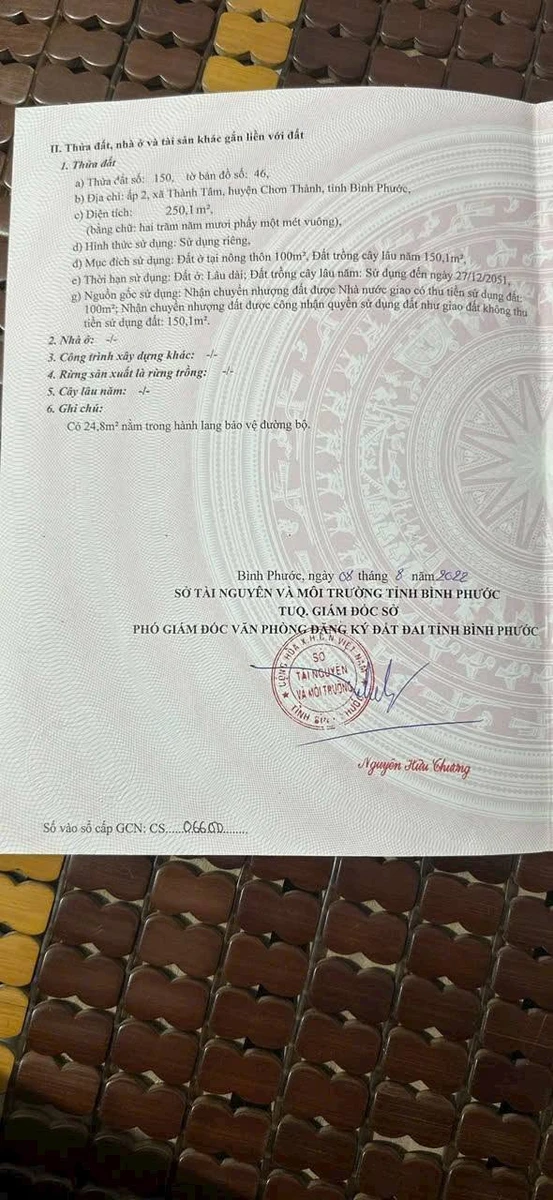 Bán đất 100m² gần khu công nghiệp Chơn Thành 390 triệu - Ảnh thu nhỏ 3