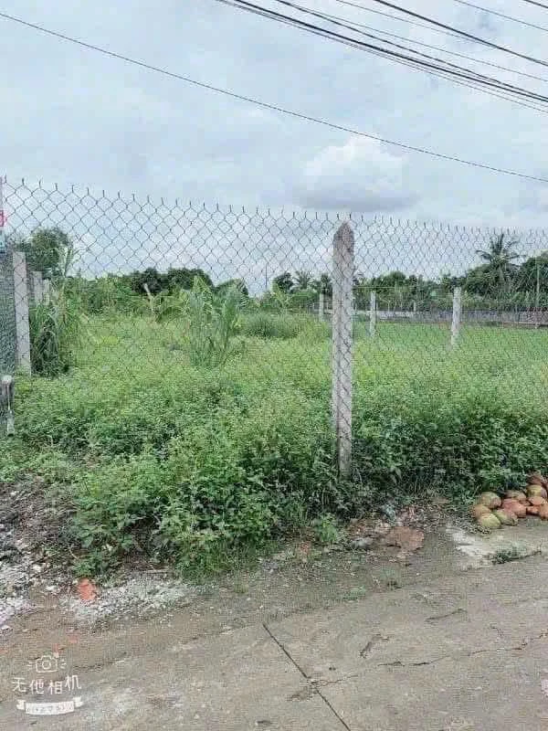 Bán đất thổ cư 5x55m (275m2) giá 1 tỷ 299 triệu tại Thạnh Đức, Bến Lức, Long An - Ảnh thu nhỏ 5