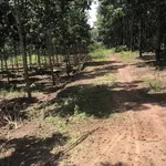 Bán đất 1ha2320m2 Chơn Thành Đồng Nai - Ảnh thu nhỏ 1