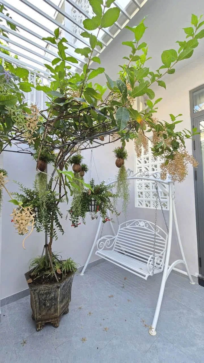 Nhà phố 4 tầng mặt tiền 62.6m2 Nha Trang 14,6 tỷ - Ảnh thu nhỏ 3