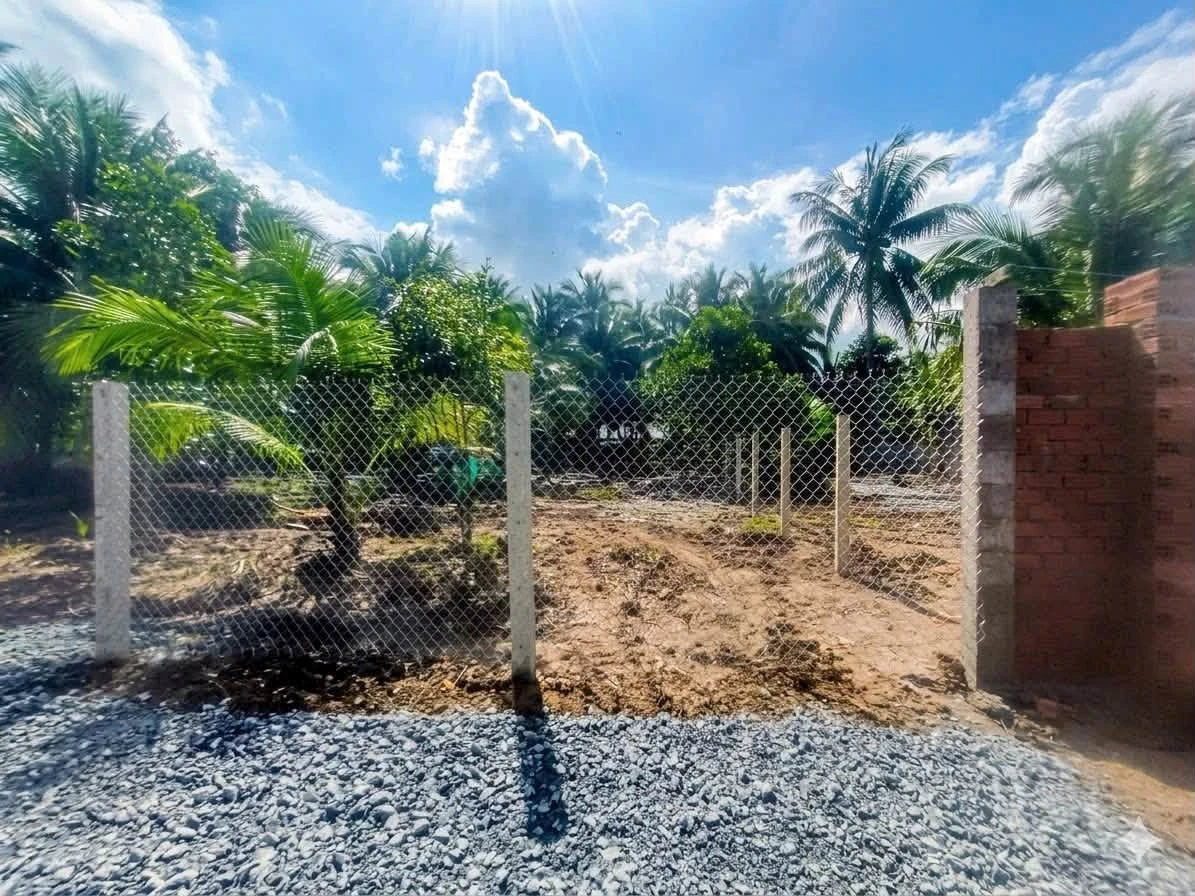 Bán đất 280m2 gần QL 60 Tân Thạch, Củ Chi - 595 triệu - Ảnh thu nhỏ 3