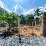Bán đất 280m2 gần QL 60 Tân Thạch, Củ Chi - 595 triệu - Ảnh thu nhỏ 3