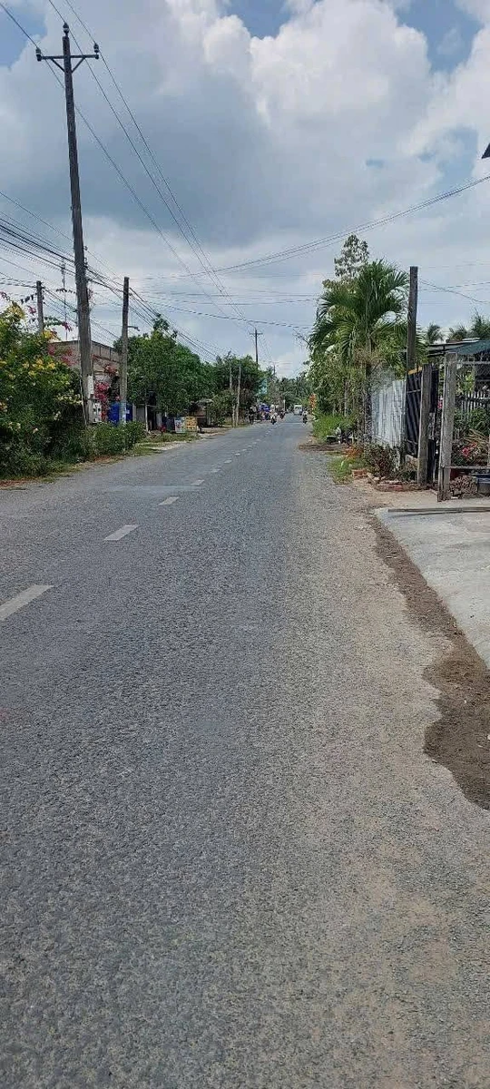 Bán 3 thửa đất liền kề hơn 14.000m2 mặt tiền sông và lộ tại Xã Phước Long, Vĩnh Long - Ảnh thu nhỏ 2