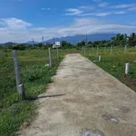 Bán đất TDP Hội Điền Ninh Phú 86-93m² giá 190 triệu - Ảnh thu nhỏ 3