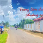 Bán lô đất 5x46m, thổ cư 50m2 tại Ea Kao, Đắk Lắk - 595 triệu - Ảnh thu nhỏ 1