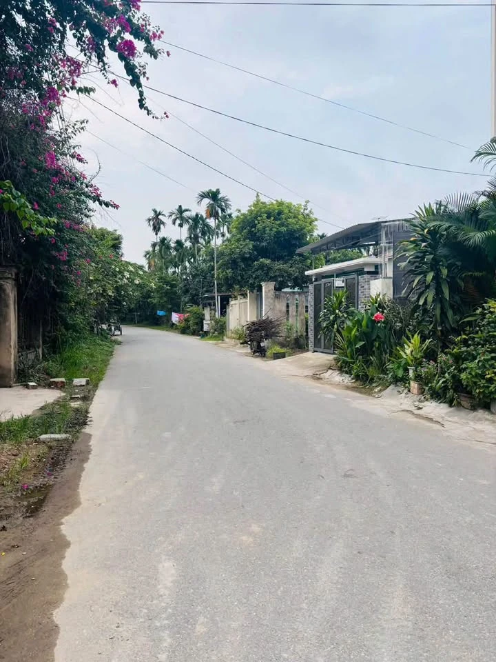 Bán lô đất mặt tiền Hoàng Hoa Thám 92.4m² - 790 triệu - Ảnh 1